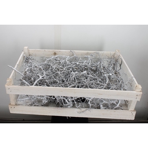 Deco Crate Bonsai Ca. White 100 Pcs L60w40 X1