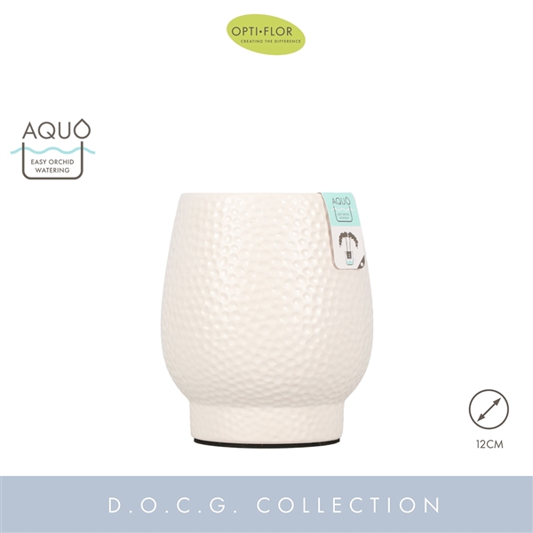<h4>Abruzzo White 12 cm Aquo</h4>