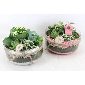 Arr2 Pl - Glas Bose Xl Touw - Roze/wit