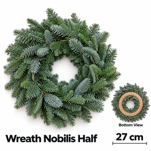 ABIES NOBILIS BLAUW