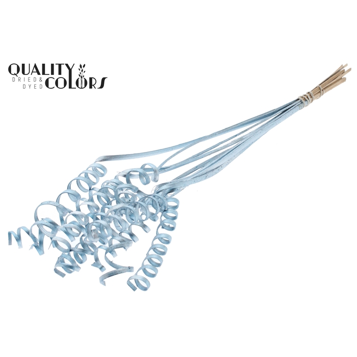 <h4>Cane Spring on stem Metallic Blue</h4>