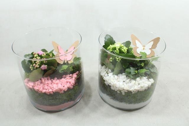 <h4>3458 CILINDERBREED</h4>