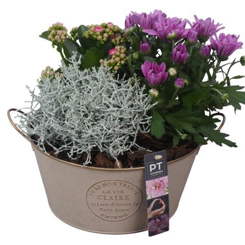 <h4>PTSO6015 Arrangement Summer Outdoor in metalen bak</h4>