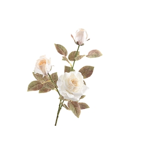 Rosa Spray Dried Beige