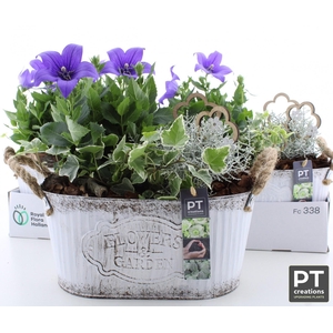 ARR TUINPLANTEN