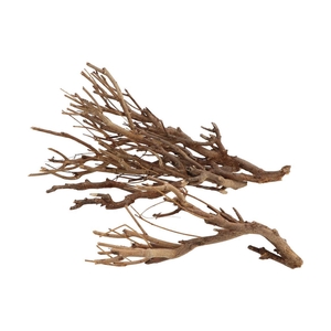 Nature Curry Bush Naturrl P/500 Gram