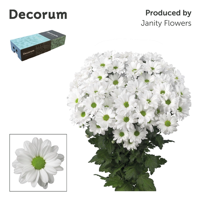 <h4>Chr T Kennedy Decorum exportbox</h4>