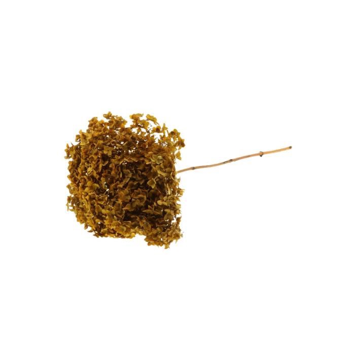 <h4>Branch Hydrangea L70D23</h4>