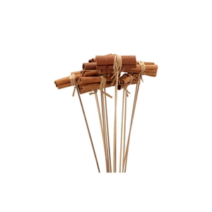 Pick Nature Cinnamon Brown 50cm Ass P/24