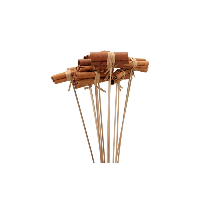 <h4>Pick Nature Cinnamon Brown 50cm Ass P/24</h4>