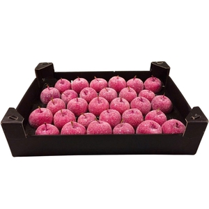 WAX APPEL H%