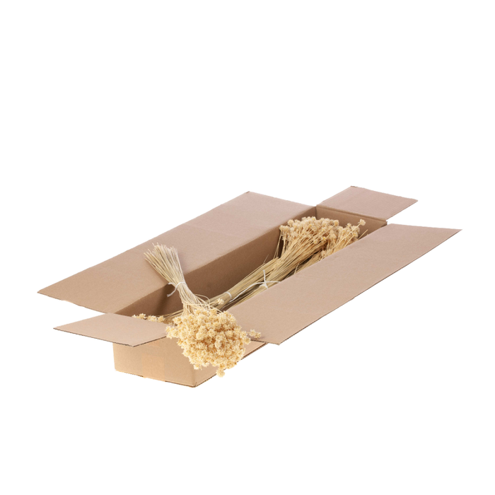 <h4>Hill Flower 100gr Sb Bleached White</h4>