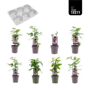 Fruitmix Red Fruits Mix-Tray