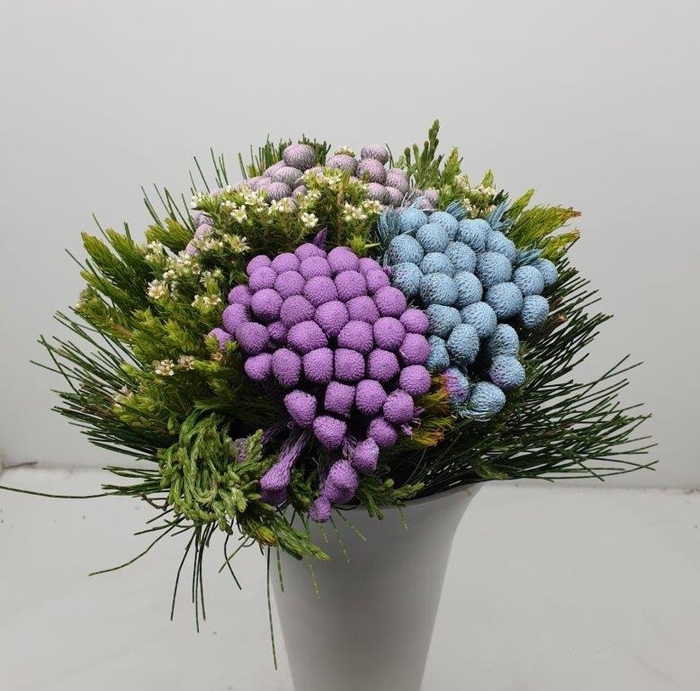 Bqt - Albiflora Pastel bouquet (p/bunch)