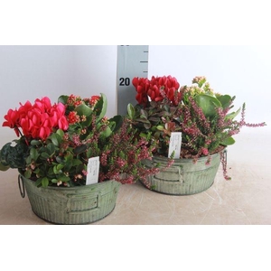 ARR GARDEN GREEN ZINC