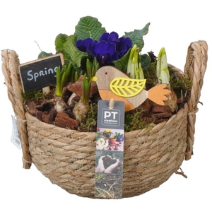 PTBM3105 Arrangementen Tuinplanten