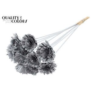 Shola Daisy Sunflower 6cm on stem Silver