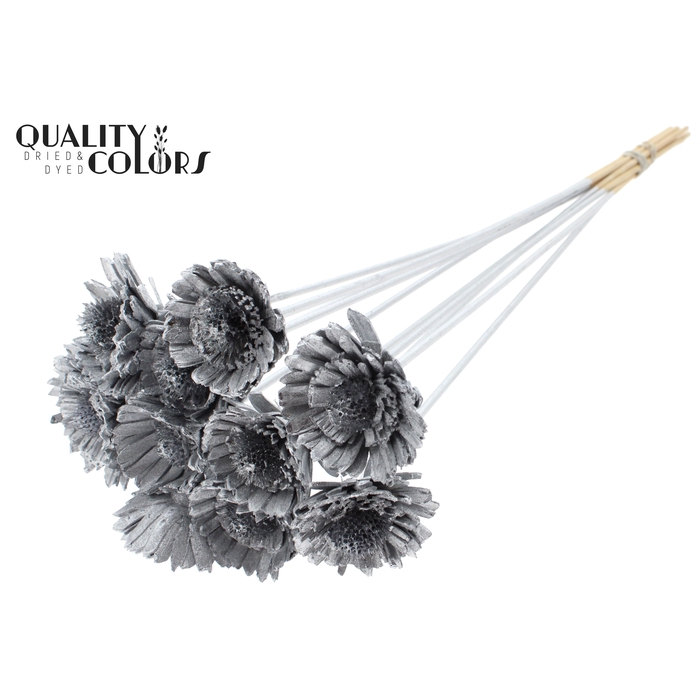 <h4>Shola Daisy Sunflower 6cm on stem Silver</h4>
