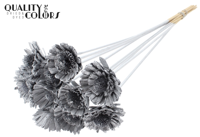 Shola Daisy Sunflower 6cm on stem Silver