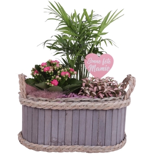 Grandmothers Day Arr. Indoor Wooden Pot Waterhyacinth Rim Ø29cm