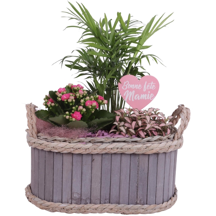 <h4>Grandmothers Day Arr. Indoor Wooden Pot Waterhyacinth Rim Ø29cm</h4>