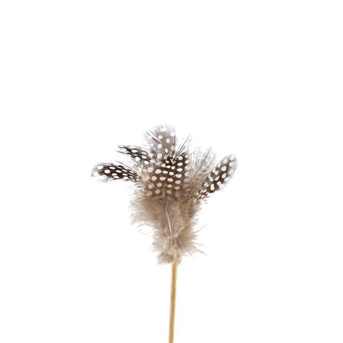 <h4>Easter 12cm Chicken feather 8cm</h4>