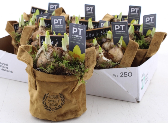 <h4>ARR N TETE A TETE</h4>