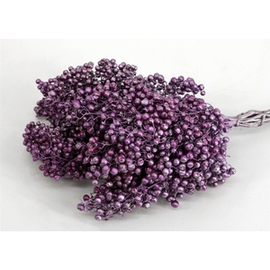Schinus M Pt Metalic Pink Bunch