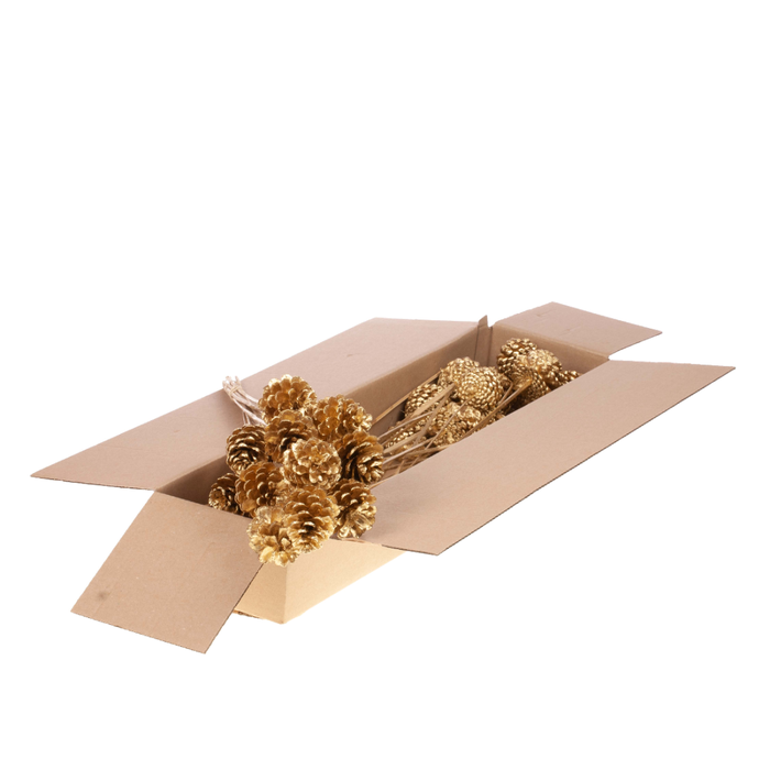 <h4>Pine C 5-7 O/s Sb Gold</h4>