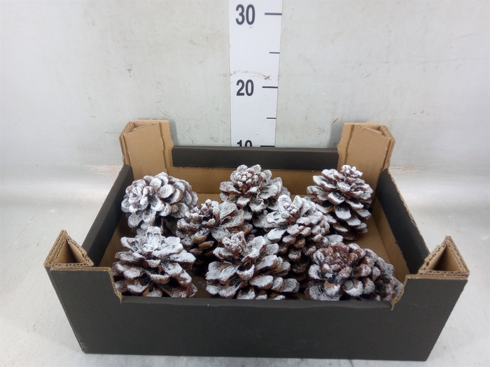 Decoratieve materialen   ...H%