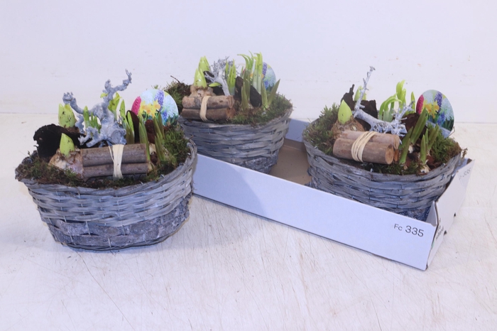 <h4>ARR BOL KNOLGEWAS</h4>