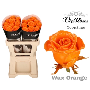 R Gr Wax Orange (60cm)