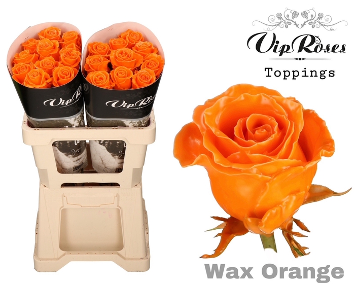 <h4>R Gr Vip Wax Orange X30</h4>