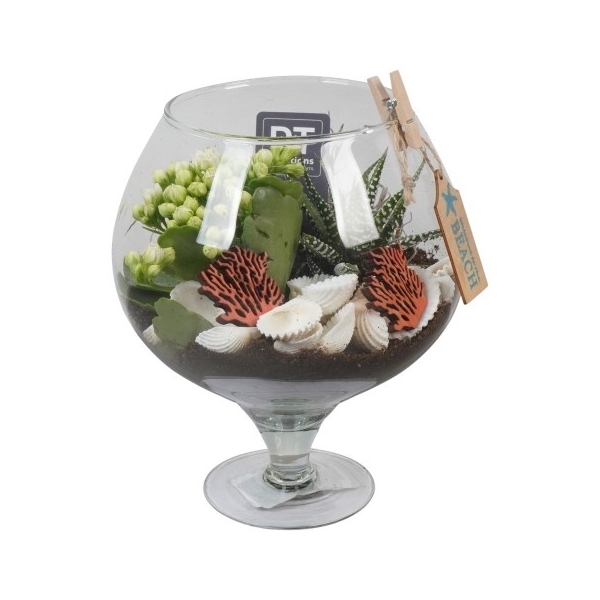 <h4>PTSD8004 Arrangement Summer Deal in cognac glas</h4>