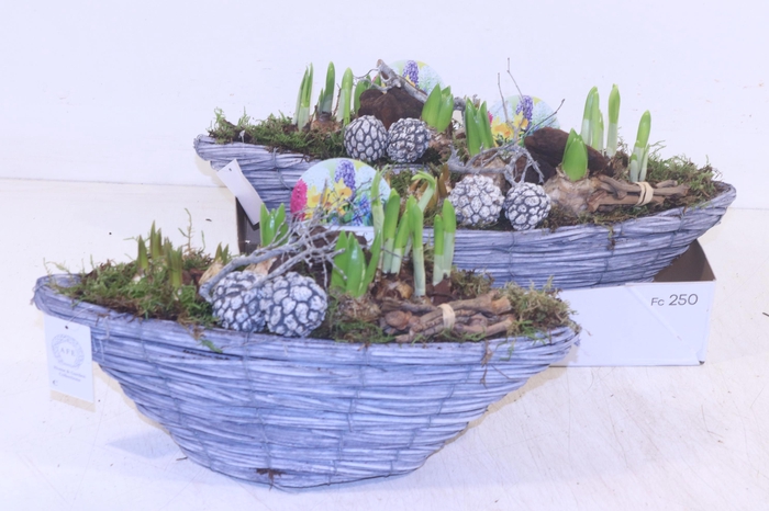 <h4>ARR BOL KNOLGEWAS</h4>