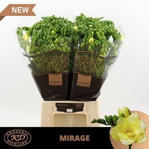 Fr Du Mirage Ex [new!]