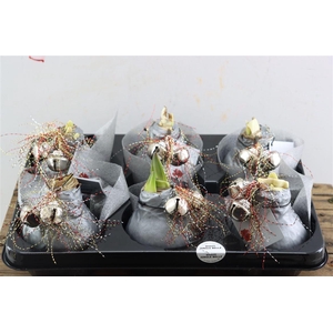 Wax Hipp Jingle Bellz Silver