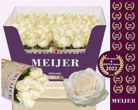 <h4>R Gr Four Seasons+</h4>