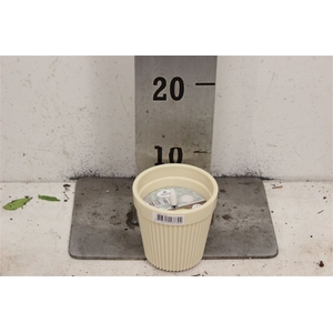 Deco pot Keramiek Letverlichting