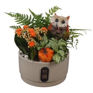 PTHI3205 Arrangement Autumn Indoor in keramiek schaal