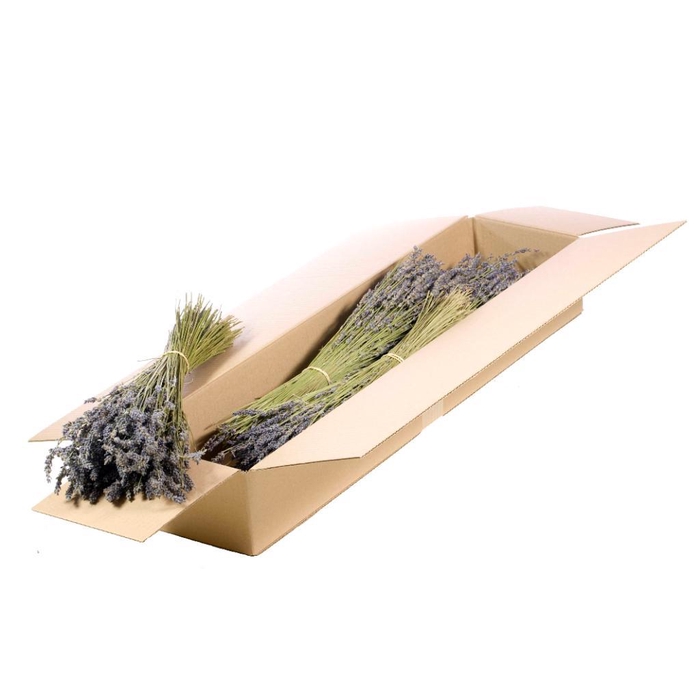 <h4>Lavender 100gr Sb Natural Blue</h4>