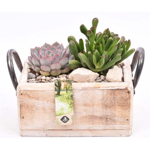 Hout rechthoek met handvat 20x13cm