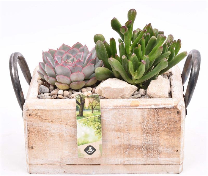 <h4>Hout rechthoek met handvat 20x13cm</h4>