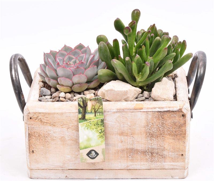 <h4>Hout rechthoek met handvat 20x13cm</h4>