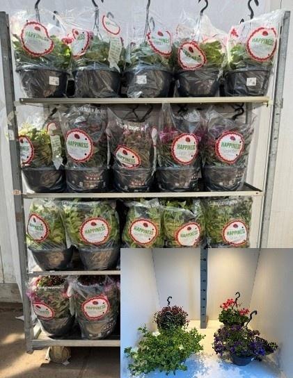 <h4>PERKPL MIXK</h4>