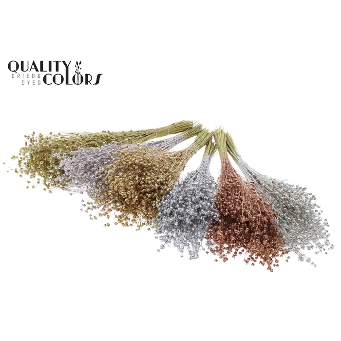 <h4>Lino Vlas p/bunch in poly Mixed Colours Metallic</h4>