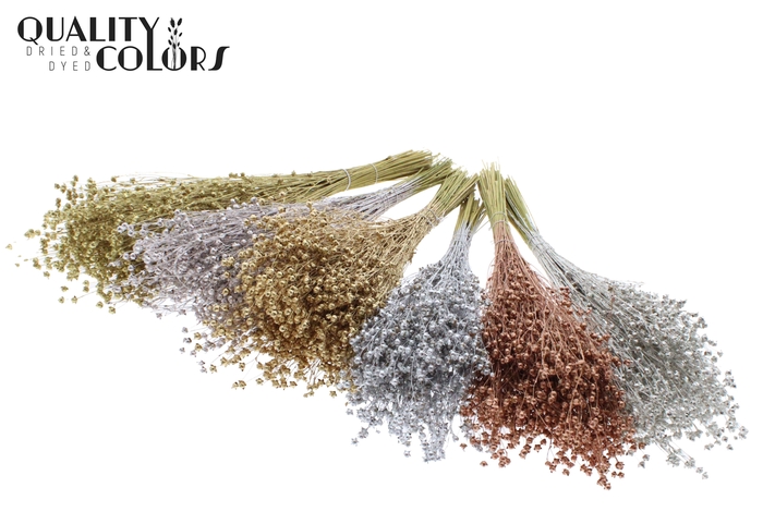 Lino Vlas p/bunch in poly Mixed Colours Metallic