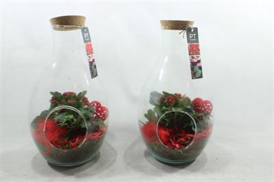 <h4>4991 Rood Druppel+dop</h4>