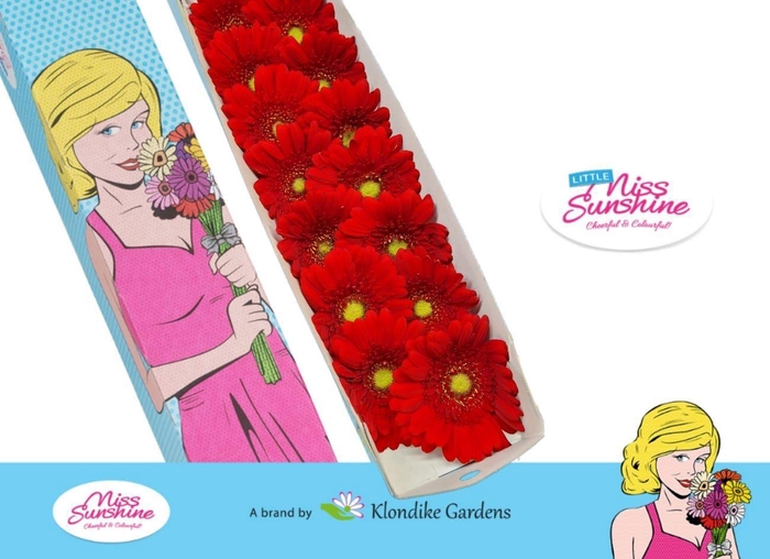 <h4>GE MI CURRY</h4>