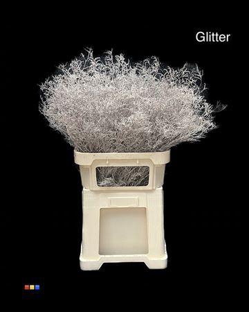 <h4>Limonium Platina + Glit Bio</h4>